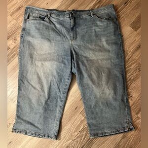 Plus Size Gloria Vanderbilt Amanda Capri’s